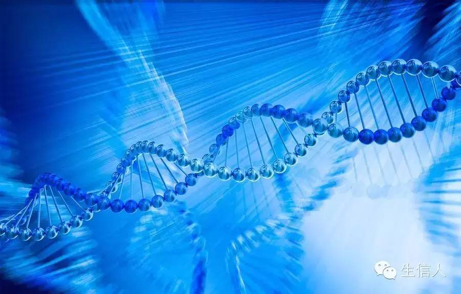 在线基因预测工具介绍-genewise