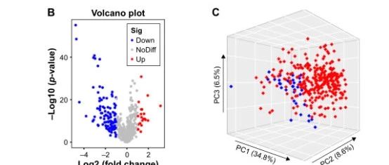 利用miRNA表达分析肾乳头状细胞癌的分子亚型文献解读