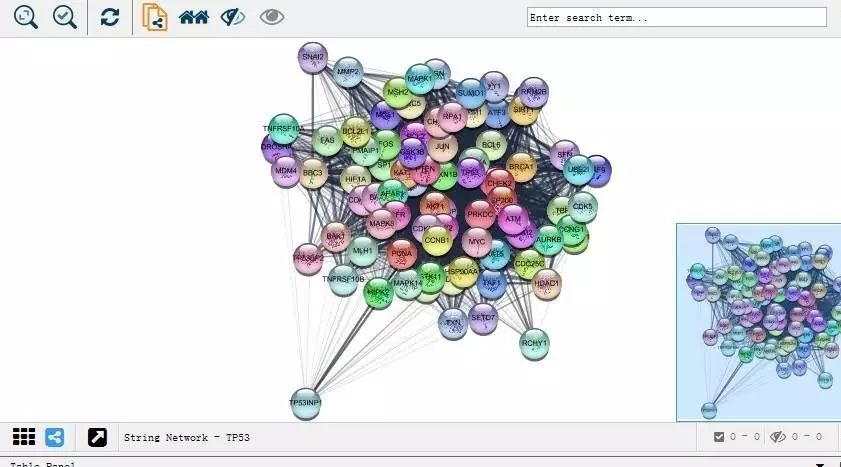 一网打尽：cytoscape