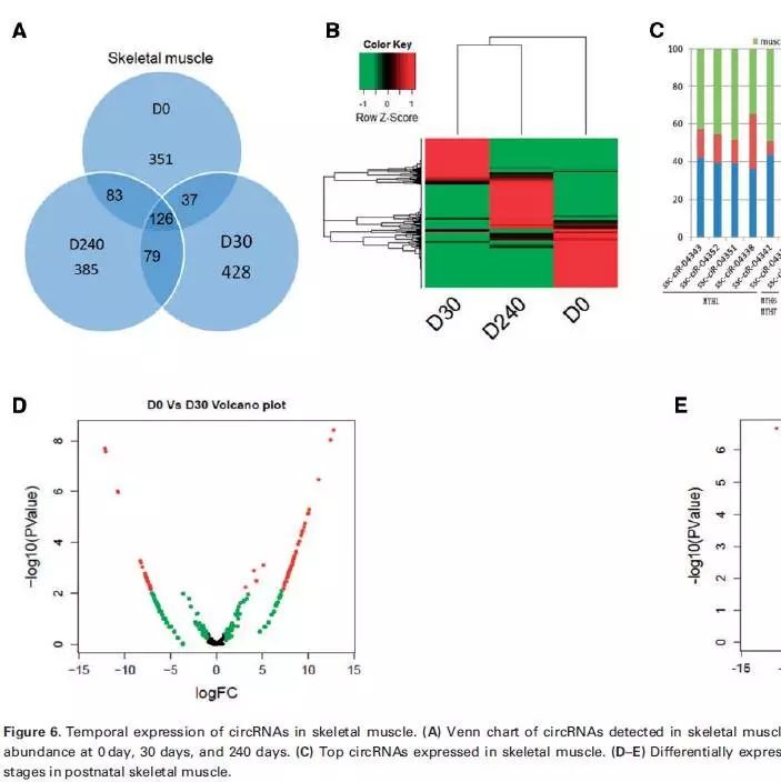 推广：开学季—2017年9月培训班安排