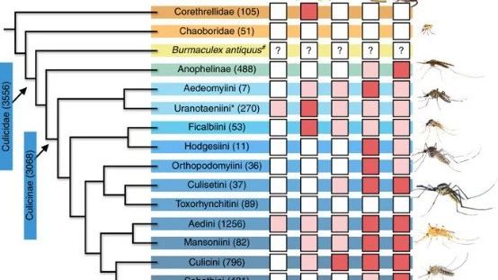 生态人的“沿溪攻略”