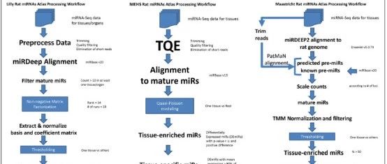 RATEmiRs：大鼠miRNA数据一站式分析平台