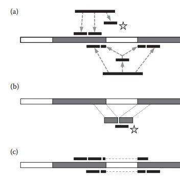 做任务，生信人课堂价值数千元的视频免费看