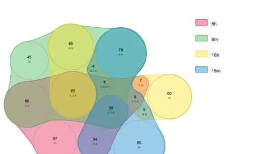 nVenn：绘制广义的准比例维恩图