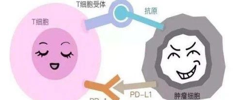令人醒目的PD-L1