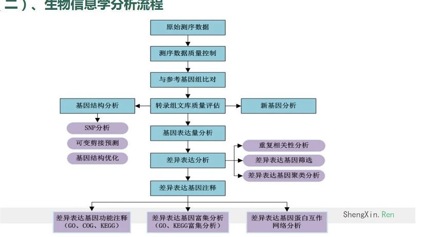 有参转录组生信知识和分析讲解课程