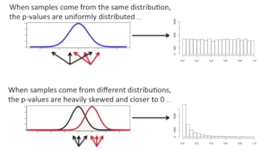 【统计】对P值进行FDR校正的原理（附代码演示）