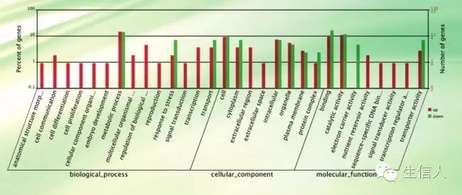 转录组文章的常规套路
