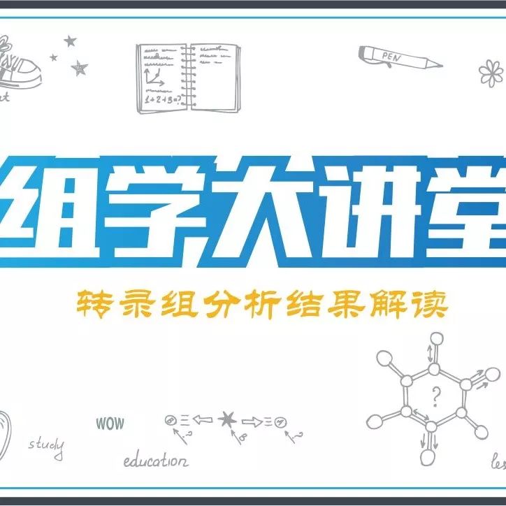 公认最好的转录组结果解析方法就在这里！