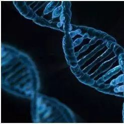 干货|分子生物学之常用试剂配制方法