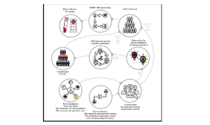 《Cancer Cell》肿瘤液体活检新思路 血小板RNA