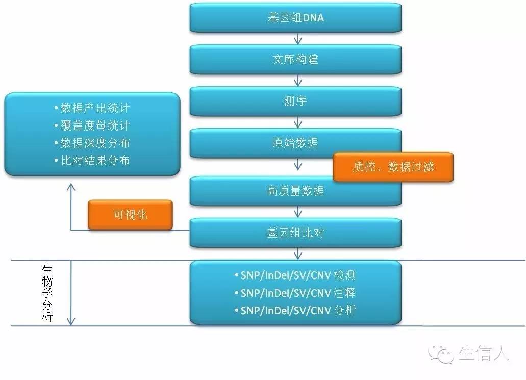 全基因组重测序数据分析