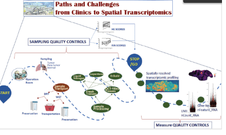 SXR202208001C+空间转录组组织制备的临床挑战