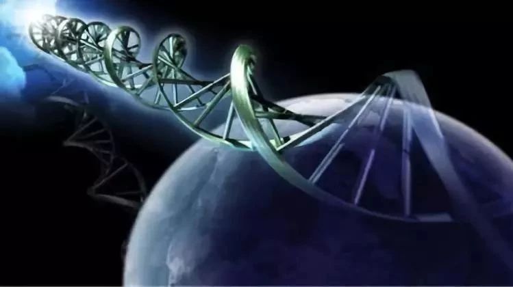 人类基因组到底有多少个基因