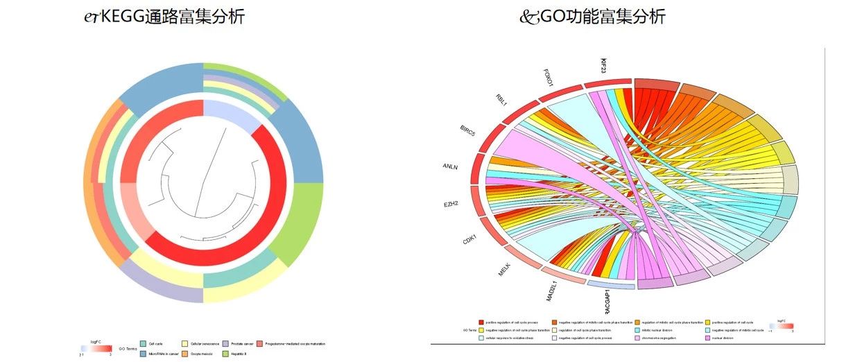 好看的文章千篇一律，实用的套路ceRNA