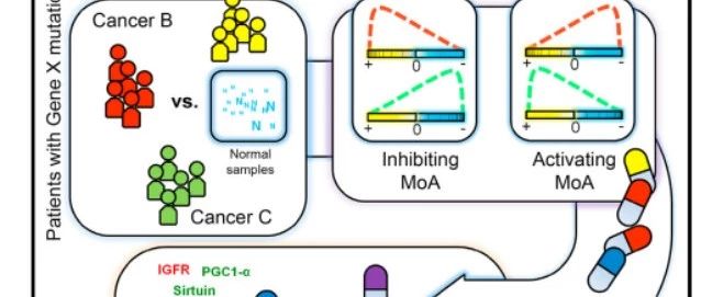 通过癌症转录组的非组织特异性核心特征准确地重新定位药物