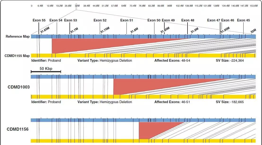 光学+二代=检测所有变异