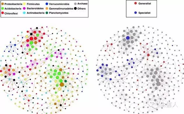 WGCNA和共表达网络