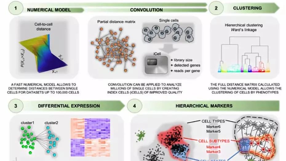 bigSCale，大规模单细胞测序数据分析利器
