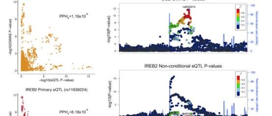 eQTL和GWAS还可以这样玩