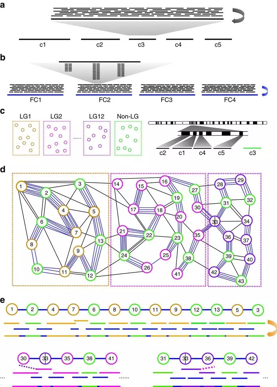 组装技术新进展