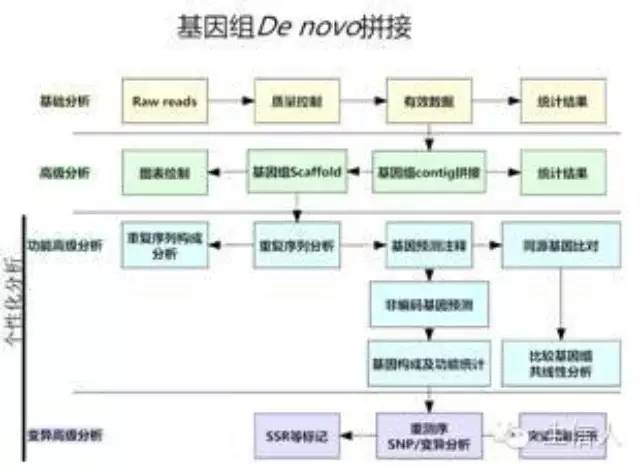 Gapcloser软件使用手册