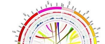 开工第一课，生信有干货