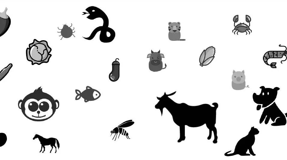 一个物种一个家