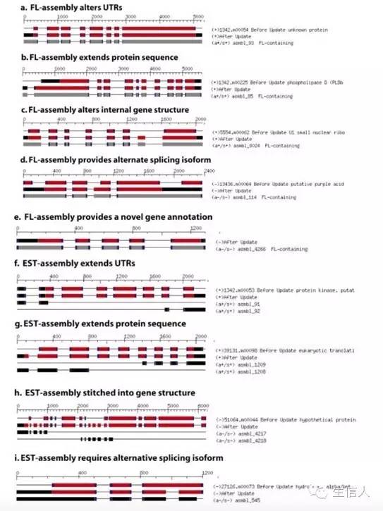 PASA：提升基因预测的利器