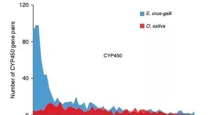 记一次ORFfinder本地化所遇到的问题