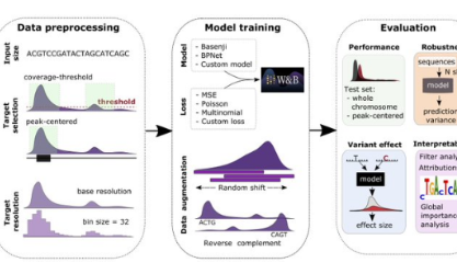 plos biology文章揭示预印本与最终发表版差异几何|4月biorxiv生信好文速览