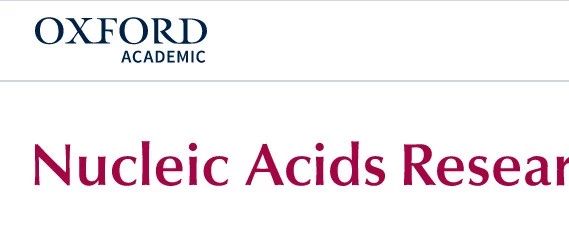 收藏|2019年核酸研究数据库汇总