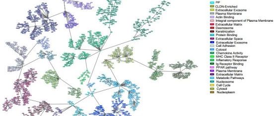 纯生信亚型分型套路讲解