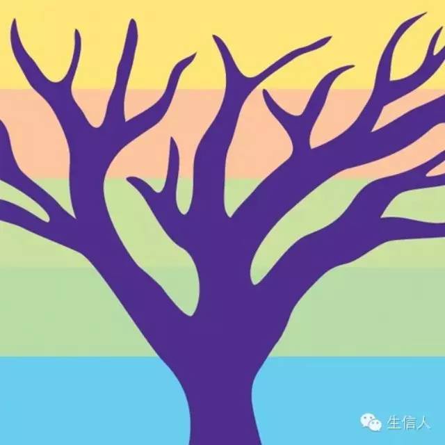 如何查找物种之间的进化时间