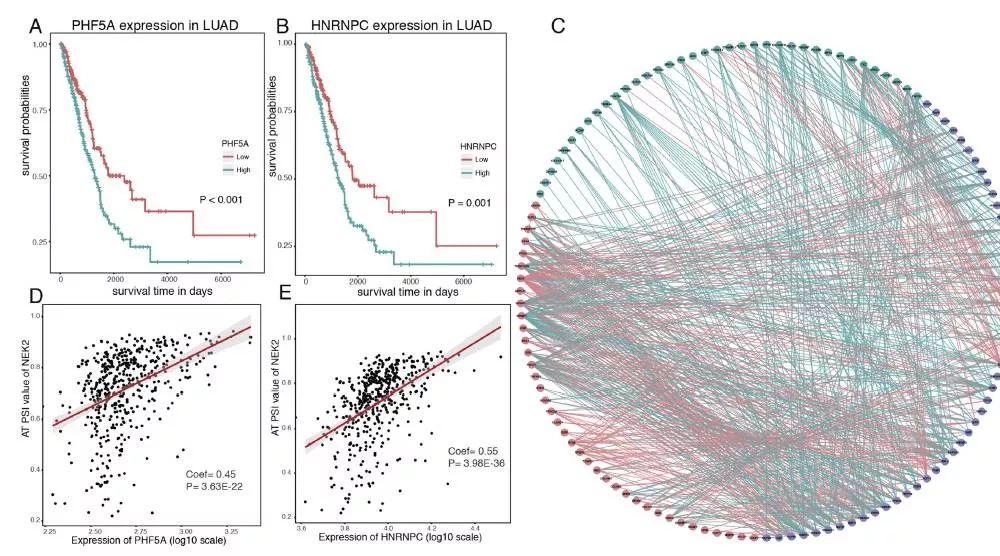 生存相关的选择性剪接事件