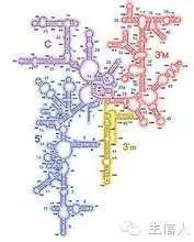 16s RNA分析的众多建议