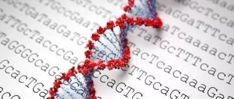 自己测数据就一定好吗？