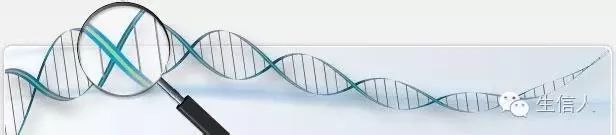 GenomeMacroSend上传NCBI数据