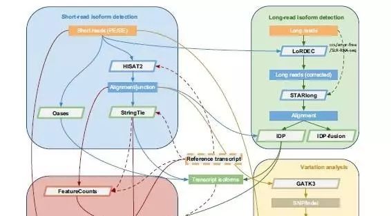必看|史上最全的39个RNAseq分析工具与对比