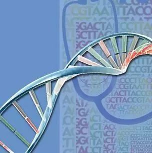 一个可以赚外快的地方