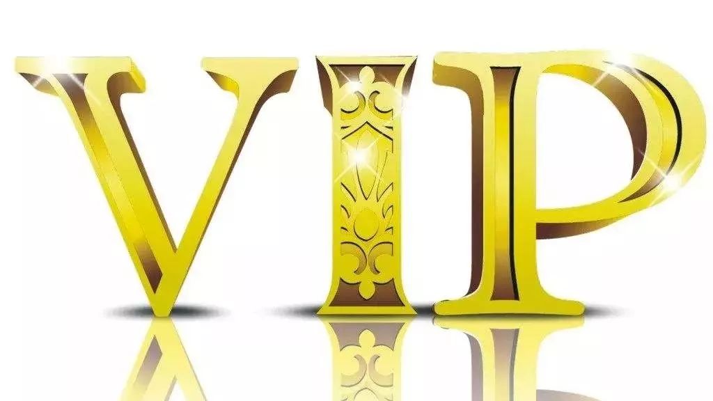 1对1 VIP培训服务