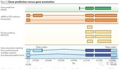 寻找基因的结构