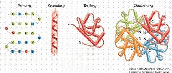 漫谈AI|从alphaGO到alphaFold