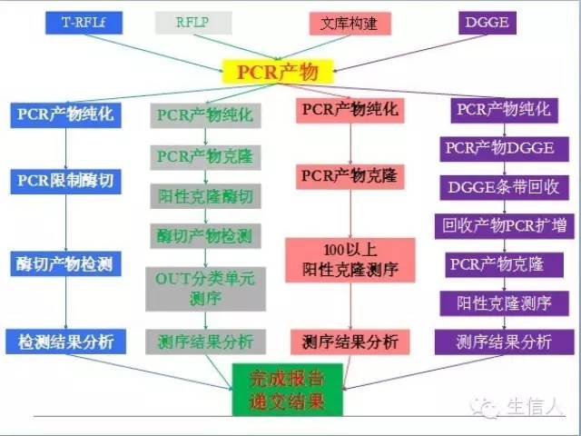 环境微生物群落多样性分析