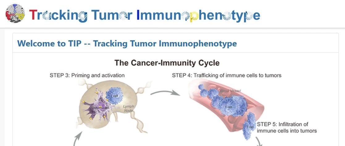 肿瘤免疫研究的新工具--TIP