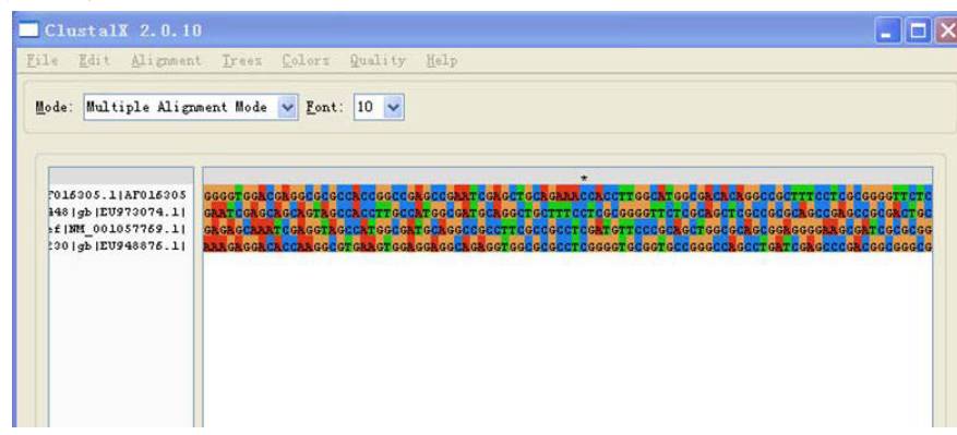基础工具-Clustalx用法