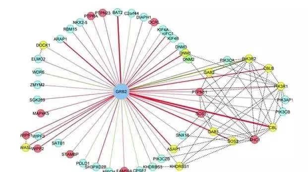 如何酷炫地通路富集&蛋白互作可视化一步到位
