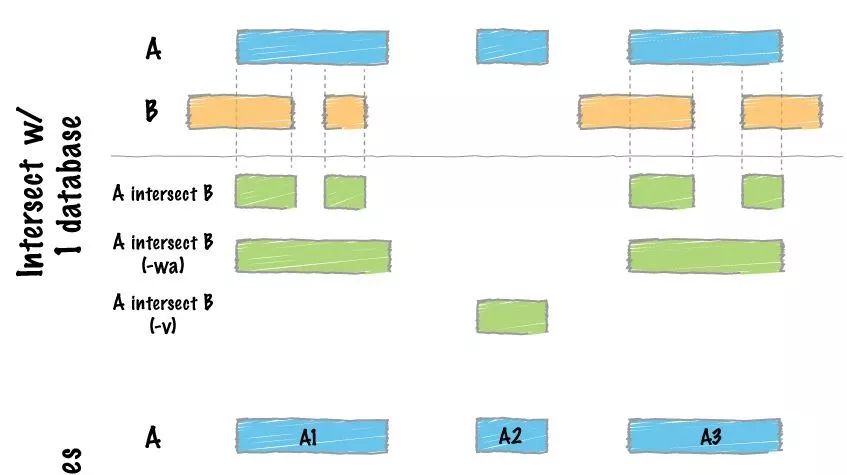 一文掌握bed运算