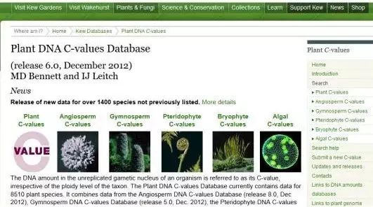 基因组大小查询
