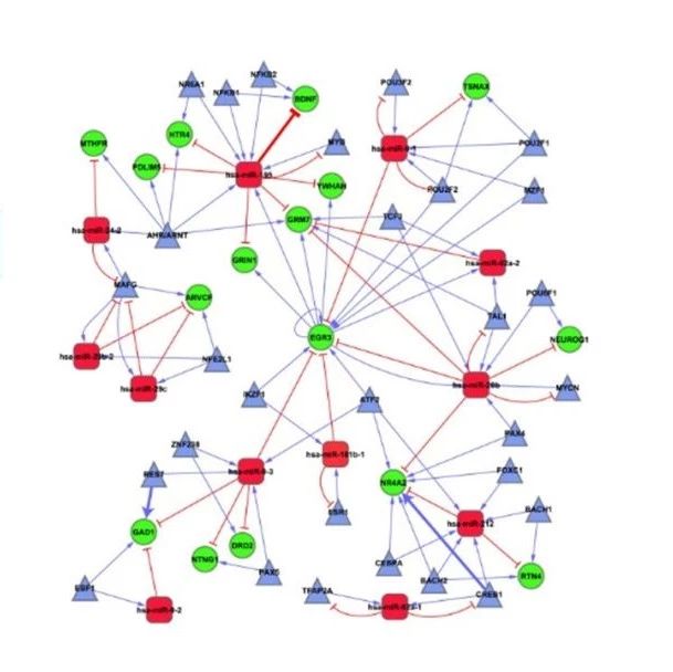 对测序与芯片数据做高通量数据挖掘与分析？你也可以